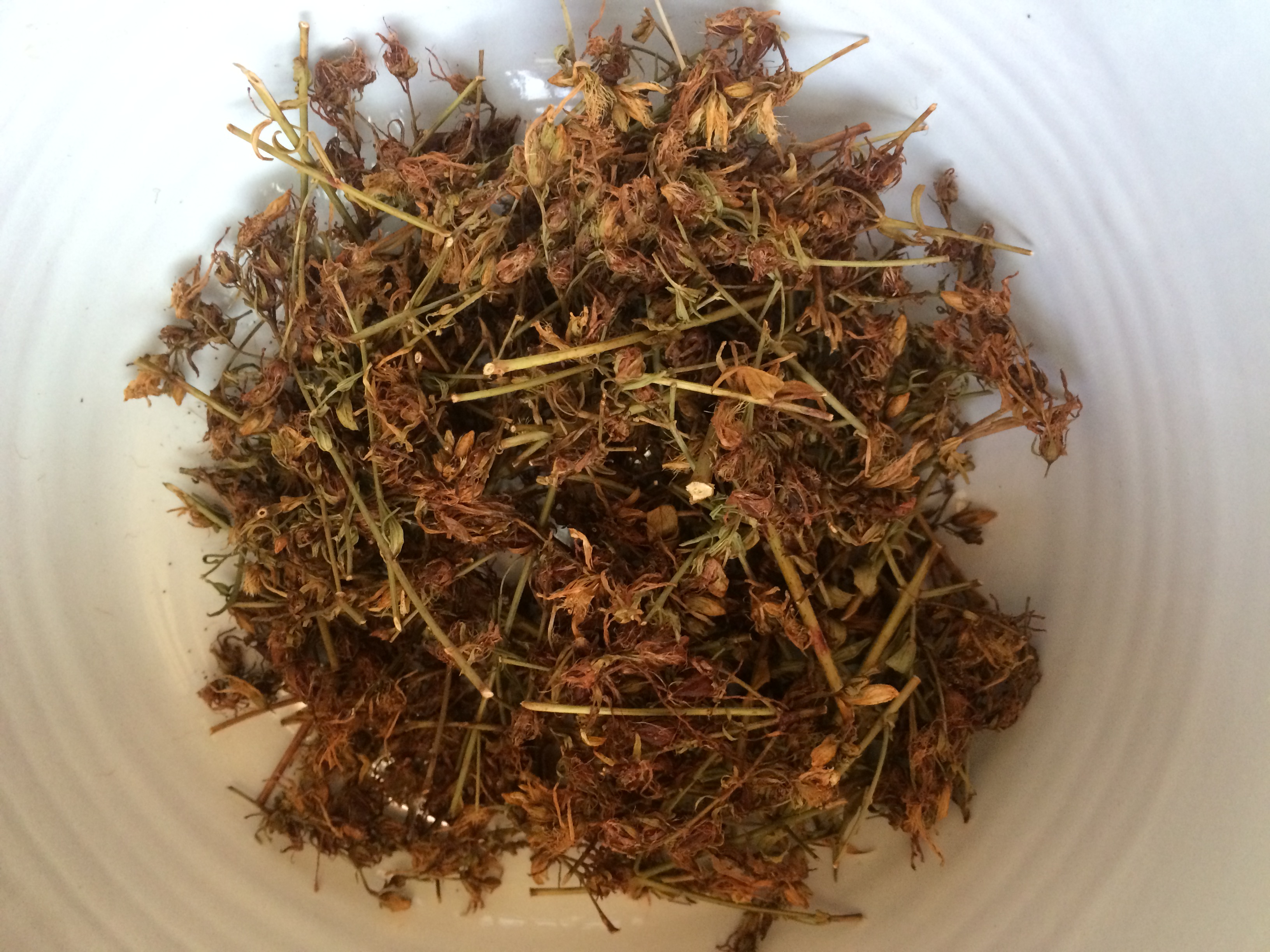 St. Joan’s Wort According to Tracy Maier